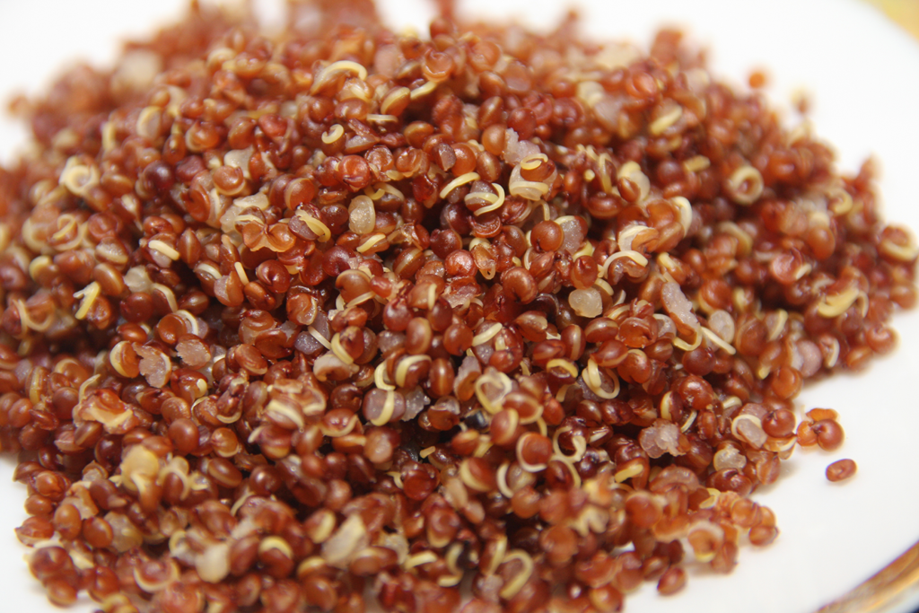Recipe: Southwestern Quinoa, Black Bean and Avocado Salad – OutSmart Cancer